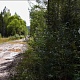 7. Дорога на Кингаш